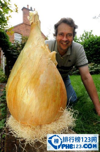 世界上最大的洋葱